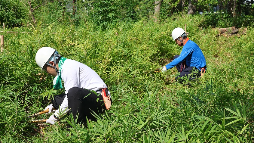 緑豊かな斜面で、腰を下ろして下草刈りに励むボランティアたち