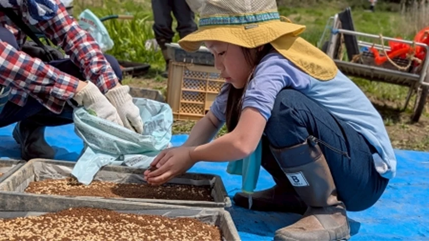 育苗箱に丁寧に種をまく作業をする子供と大人の様子